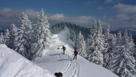 Gipfelgrat vor Preineckkogel