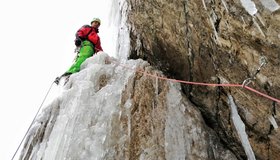 Mauerblümchen - Sektor Bahnwärter Gesäuse