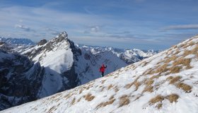 Auf dem Gipfelhang - hinten der höchste Rofangipfel (Hochiss).