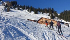 Bei der Moserbaumgartenalm auf dem Weg zum Wiedersberger Horn.