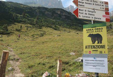 Im Brenta Gebiet sind die Bären-Warnschilder allgegenwertig...