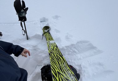 Gute Felle und cooles Felldesign (c) Hannes Haberl