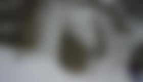 Die Übungs-Fälle im Seetal