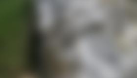 Übersicht Weissenstein