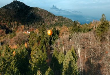  AirMarker: Das fliegende Pannendreieck  im Wald