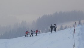 Oberhalb des Rigi Kreuzes auf dem Gipfelhang