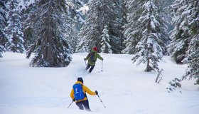 Auch im Wald tlw. recht gute Bedingungen