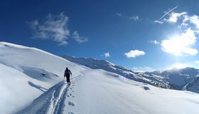 Man quert auf dem Forstweg in das Kar unterhalb der Bergstation.