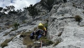 4.SL