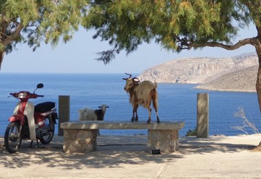 Kalymnos, eines der besten Klettergebiete auf diesem Planten