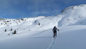 Vor dem etwas steileren Gipfelhang.