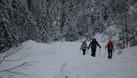 Aufstieg entlang des Ardlingbachs