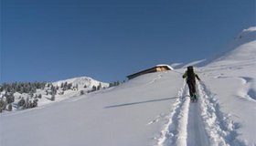 Stadelkehralm