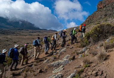 Beim Aufstieg über die Route Rongai auf den Kilimanjaro (c) Unsplash