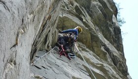 Baierisches Trauma - Brandstattpfeiler