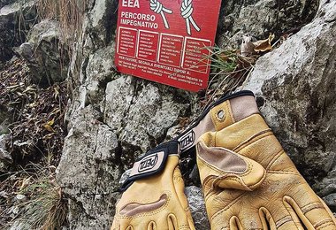 Petzl Cordex Plus Klettersteighandschuhe in Beige