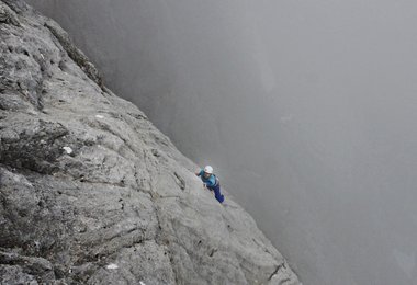 Solo im Nebel (c) eduardo gellner 