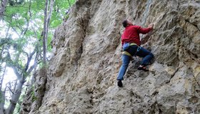 Puchberger Sozialhilfe, 6-