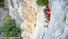 Tutti i Gusti son Gusti - Verdon