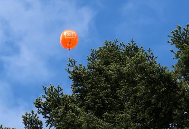 Der nur leichte Wind hat den Ballon von der Startposition auf einer Lichtung in die Baumwipfeln gedrückt.