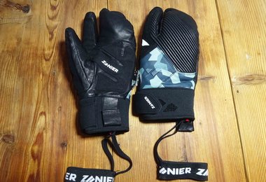 Zanier Evolution