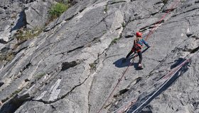 Kids Ice Age Sektor unten