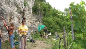 Der Klettergarten wird naturgemäss auch für das Gumpoldskirchner Ferienspiel benötigt ...