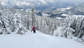 Bei Pulverschnee ein Genuss!