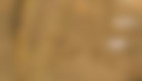 Wandübersicht Angerstein Südwestwand