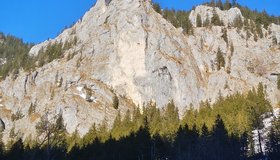 Blick aus dem Tal auf den AIplpfeiler