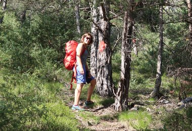 Dank des breiten Hüftgurtes trägt sich der Arcteryx Alpha FL 30 gut auf dem Rücken.