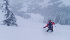 Perfekte Verhältnisse im steilen Nordhang.