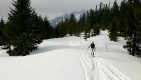 Aufstieg im Bereich der Pfarralm