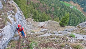 Auf der langen Leiter.