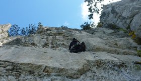 Diesseits von Eden -  Blechmauer